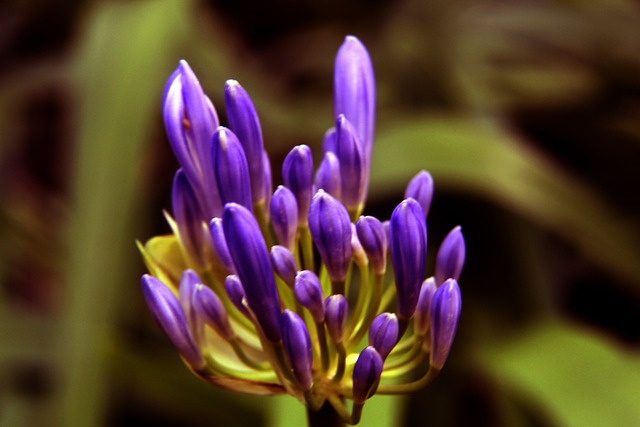 这能够让巴 这能够让巴