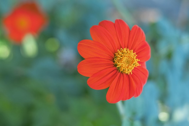 她们的坚持 她们的坚持