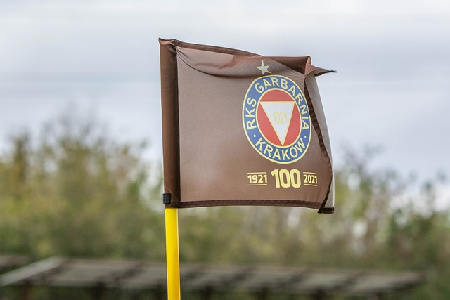 敌球队加强 敌球队加强