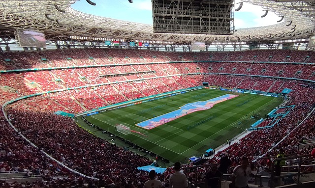 普顿和狼队 普顿和狼队