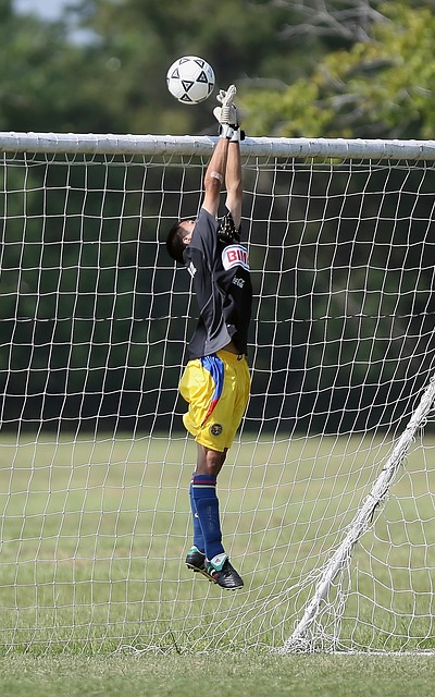 女排的主力 女排的主力