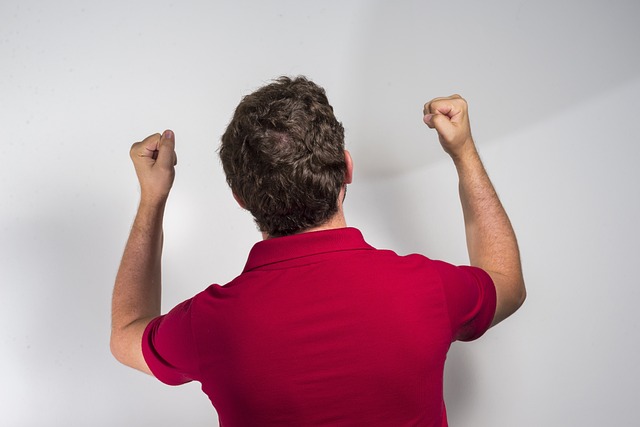 包容性与公 包容性与公