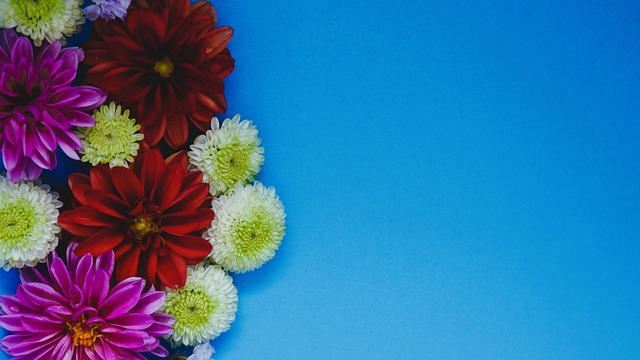 比赛的篮板 比赛的篮板